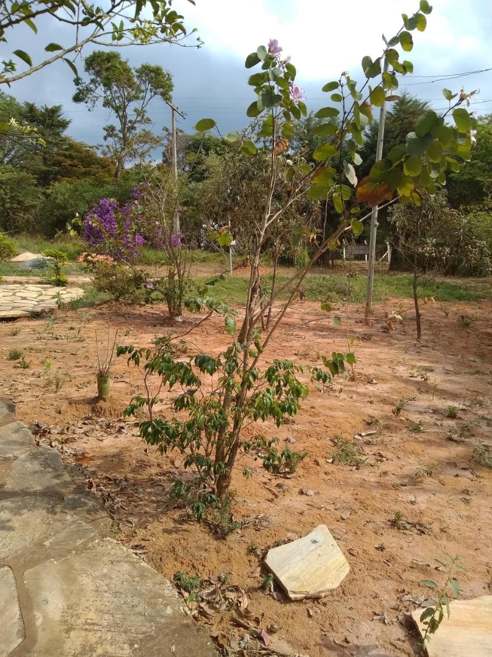 Sitio Vale Das Montanhas เซาโตเมตัสเลตราส ภายนอก รูปภาพ