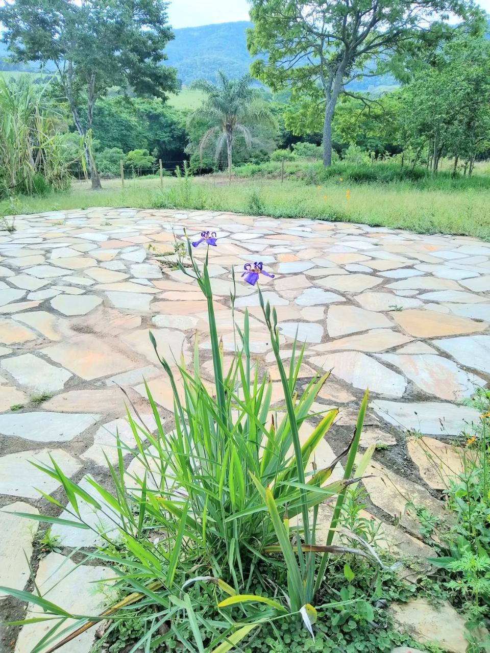 Sitio Vale Das Montanhas เซาโตเมตัสเลตราส ภายนอก รูปภาพ
