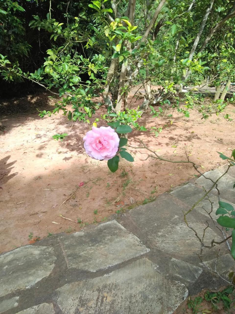 Sitio Vale Das Montanhas เซาโตเมตัสเลตราส ภายนอก รูปภาพ