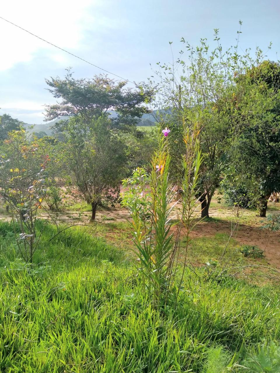 Sitio Vale Das Montanhas เซาโตเมตัสเลตราส ภายนอก รูปภาพ